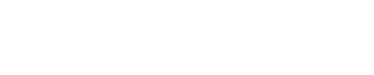True Prodigy Tech Solutions